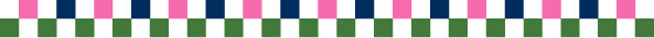 pixel flower border